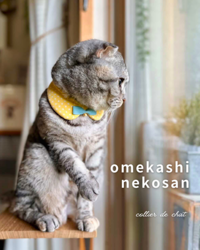 出店イメージ5