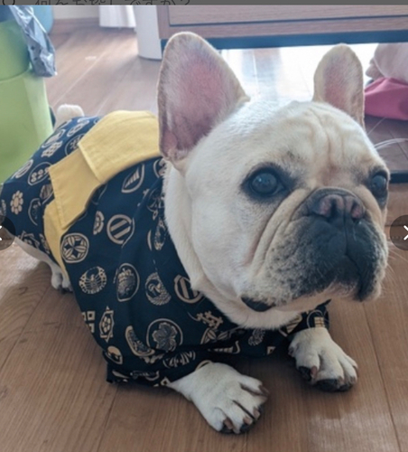 出店イメージ4