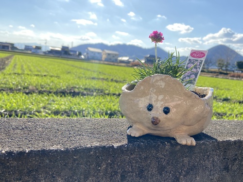 出店イメージ5