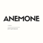 ANEMONE