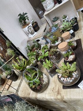 出店イメージ5