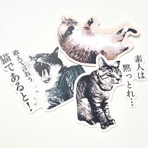 出店イメージ5