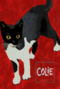 colie