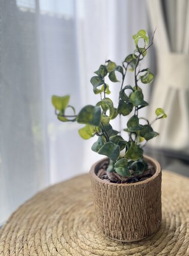 出店イメージ4
