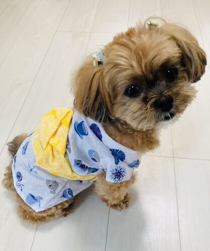 出店イメージ5