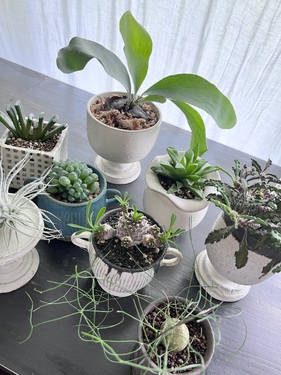 出店イメージ5