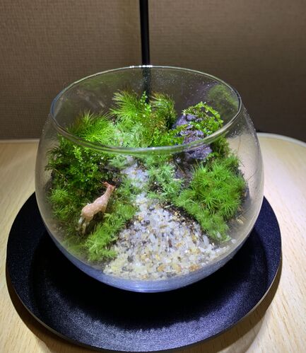 出店イメージ1
